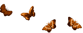 mariposas